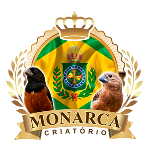logotipo